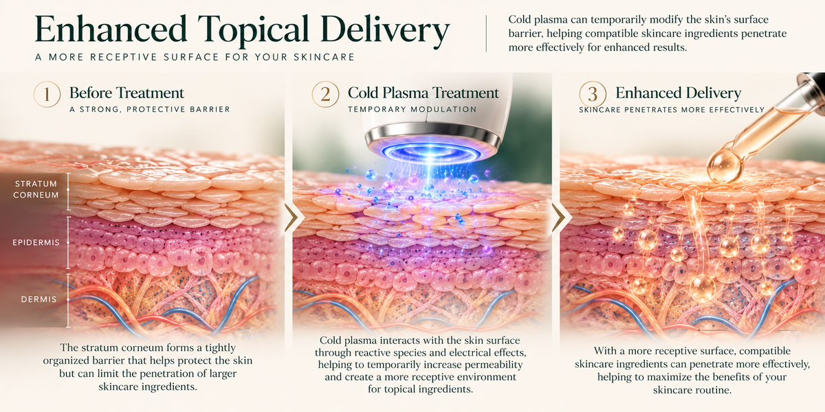 Diagram showing skin before cold plasma treatment, plasma treatment and enhanced topical delivery